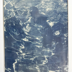 Swimming In Shadows (8x10)